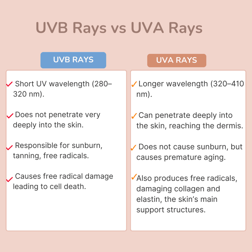 Understanding UV Rays: A Quick Guide to UVB vs. UVA Differences and Their Impact on Skin